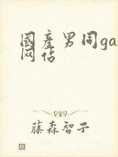 国产男同gay网站