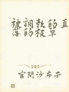 被调教的直男堕落的校草