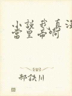 小说 我真没想当皇帝啊封面