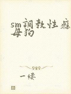 sm调教性瘾小母狗