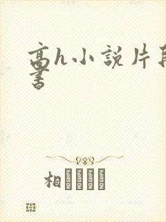 高h小说片段秘书