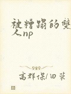 被糟蹋的双性美人np封面