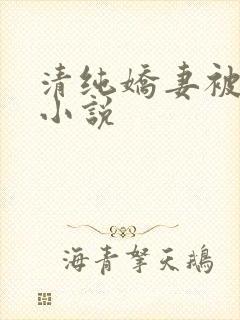 清纯娇妻被调教小说