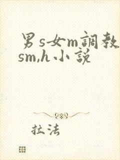 男s女m调教(sm,h小说