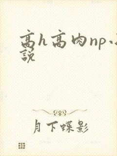 高h高肉np小说