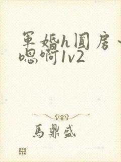 军婚h圆房～h嗯啊1v2
