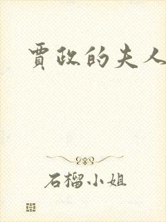 贾政的夫人是谁