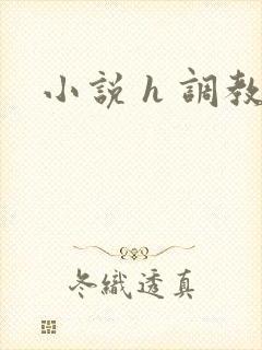 小说 h 调教