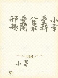 邢爱公爱小说笔趣阁最新章节更新封面