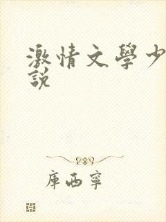 激情文学少妇小说
