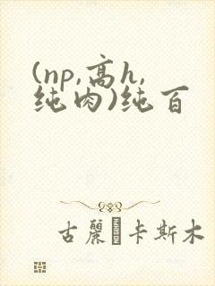 (np,高h,纯肉)纯百