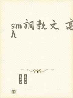sm调教文 高h