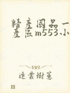 精产国品一二三产区m553小说封面