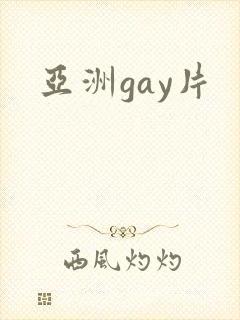 亚洲gay片封面