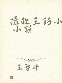 摄政王的小闲妻 小说