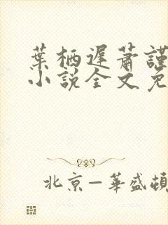 叶栖迟萧谨行的小说全文免费阅读