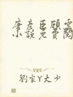 唐彦臣顾云歌的小说免费阅读