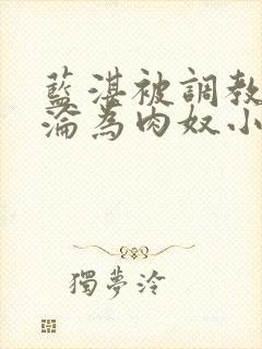 蓝湛被调教喷水沦为肉奴小说