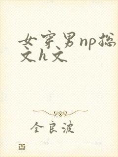 女穿男np总攻文h文