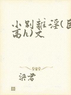 小别离淫(巨肉高h)文