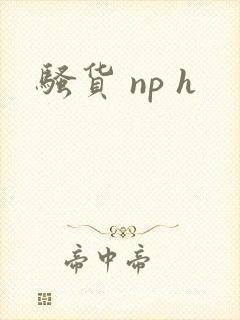 骚货 np h