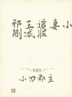 邪王追妻小说无删减版