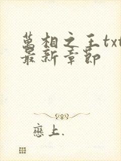 万相之王txt最新章节