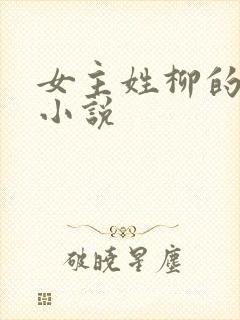 女主姓柳的现代小说