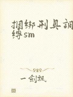 捆绑刑具调教束缚sm封面