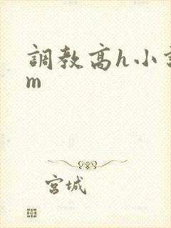 调教高h小说sm