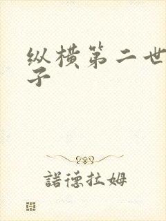 纵横第二世界宽子