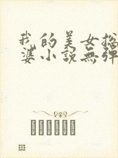 我的美女总裁老婆小说无弹窗