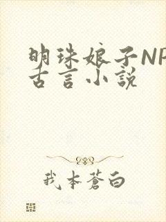 明珠娘子NPC古言小说