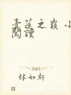 青莲之巅 小说阅读封面