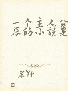 一个主人公叫叶辰的小说是什么