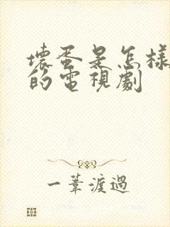 坏蛋是怎样炼成的电视剧