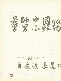 最帅中国gay男男小鲜肉