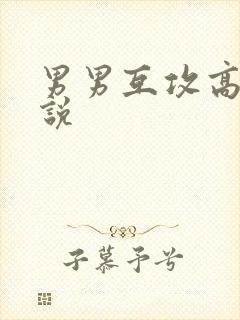 男男互攻高h小说