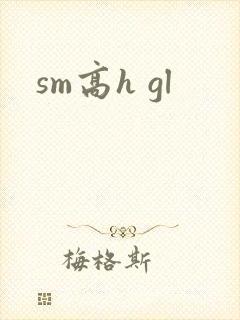 sm高h gl