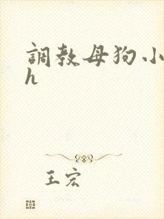 调教母狗小说高h