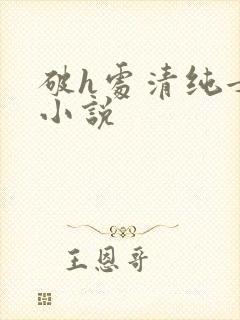 破h处清纯女大小说