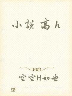小说 高 h