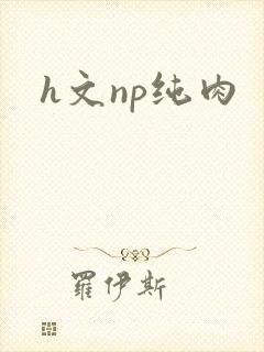 h文np纯肉