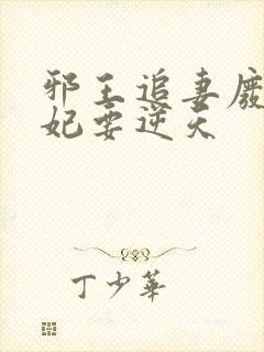 邪王追妻废材狂妃要逆天