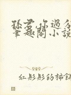 孙君,你过分了笔趣阁小说封面