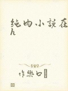 纯肉小说在线高h