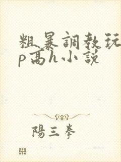 粗暴调教玩弄np高h小说