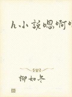 h小说嗯啊啊封面