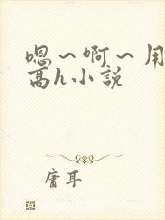 嗯～啊～用力～高h小说