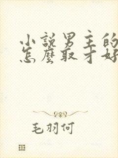 小说男主的名字怎么取才好听现代封面